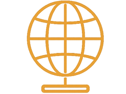Website Icon